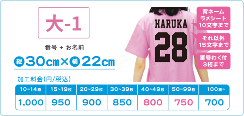 プリントサイズ「大-1」のサンプルと価格表